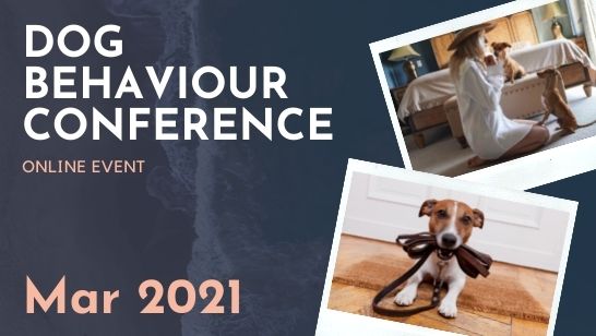 dog behaviour conference - dog matters institute
